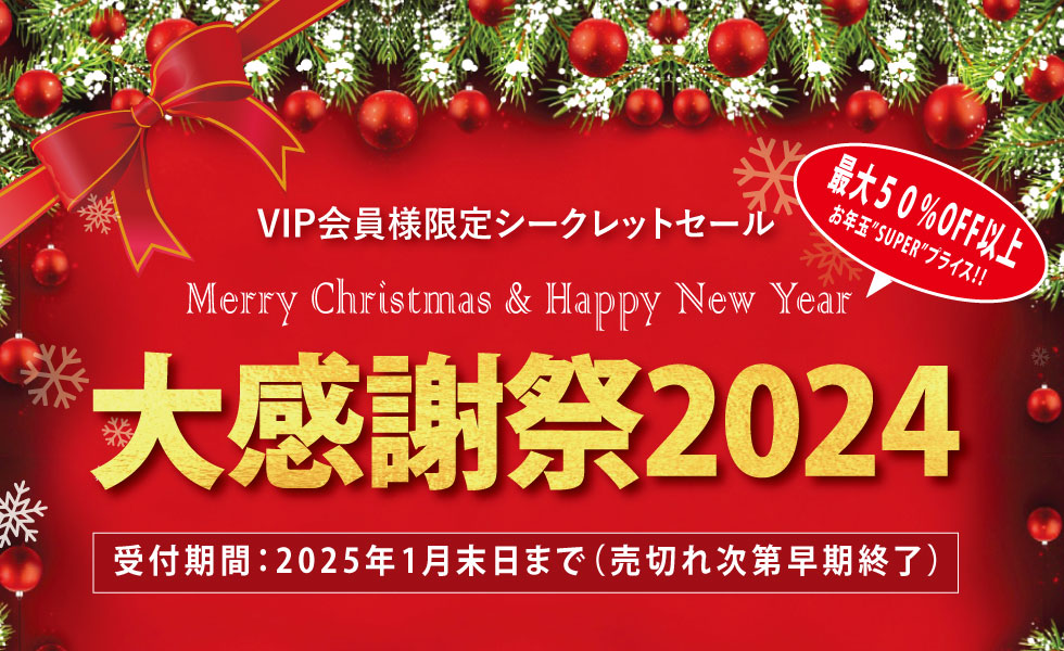 SS-DEC2024
